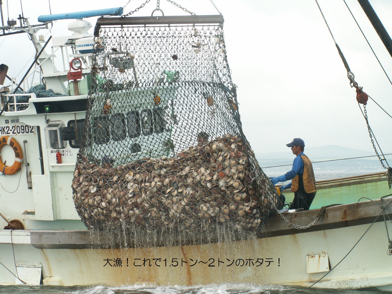 盛運丸ほたて桁引き漁